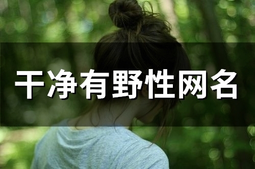 干净有野性网名(58个) 干净有野性网名(58个)