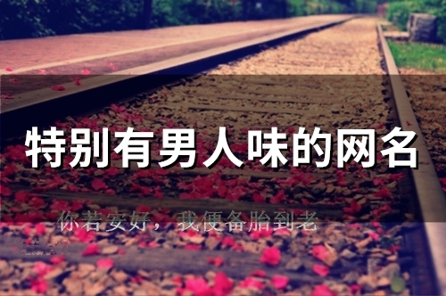 特别有男人味的网名(54个)