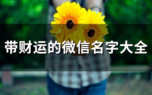 带财运的微信名字大全(精选58个) 带财运的微信名字大全(精选58个)