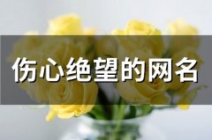 伤心绝望的网名(60个)