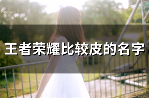 王者荣耀比较皮的名字(53个)