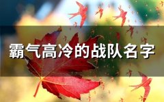 霸气高冷的战队名字(精选59个)