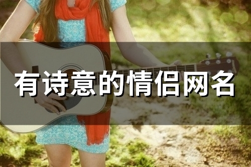 有诗意的情侣网名(98个)