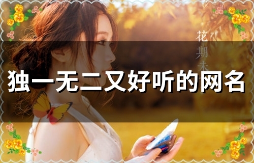 独一无二又好听的网名(精选58个)