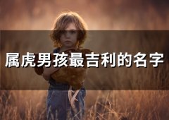 属虎男孩最吉利的名字(51个)