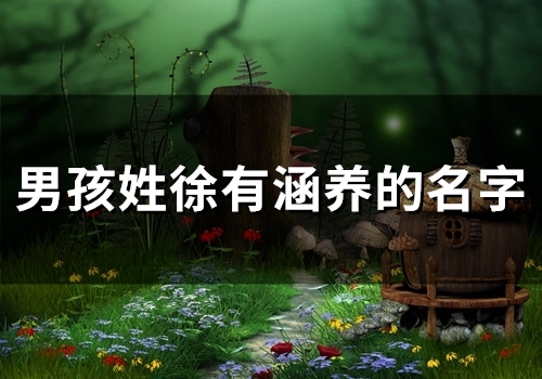 男孩姓徐有涵养的名字(精选50个) 男孩姓徐有涵养的名字(精选50个)