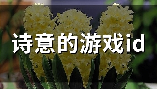 诗意的游戏id(49个) 诗意的游戏id(49个)
