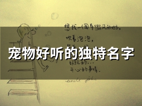 宠物好听的独特名字(精选48个)