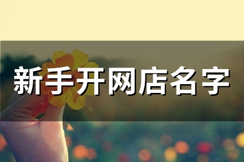 新手开网店名字(53个)