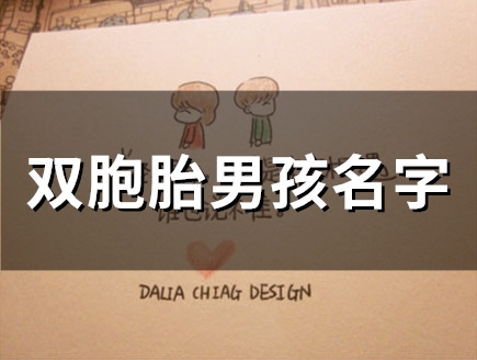 双胞胎男孩名字(精选46个) 双胞胎男孩名字(精选46个)