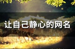 让自己静心的网名(精选54个)