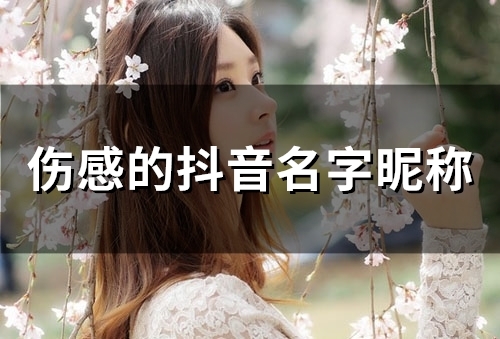 伤感的抖音名字昵称(60个)