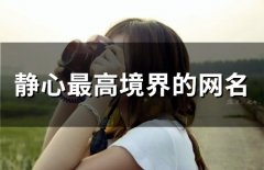 静心最高境界的网名(精选57个)