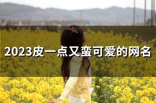 2023皮一点又蛮可爱的网名(精选60个)