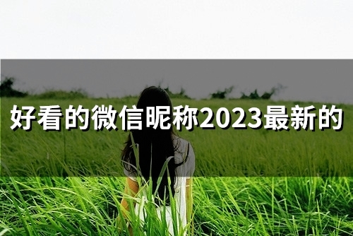 好看的微信昵称2023最新的(221个)
