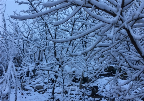 下雪文案短句干净 一句简短的雪景句子(51句)