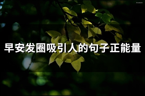 早安发圈吸引人的句子正能量(56句)