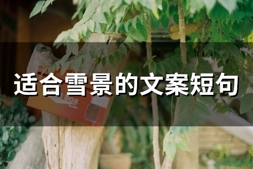 适合雪景的文案短句(57句)
