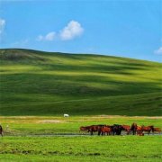 一看就舒心的微信头像(精选15张)