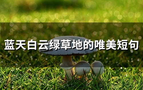 蓝天白云绿草地的唯美短句(50句)