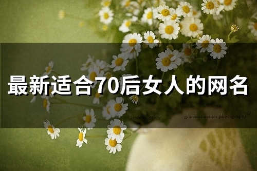 最新适合70后女人的网名(45个)