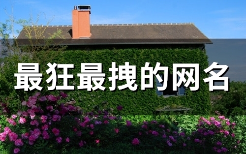 最狂最拽的网名(精选47个)