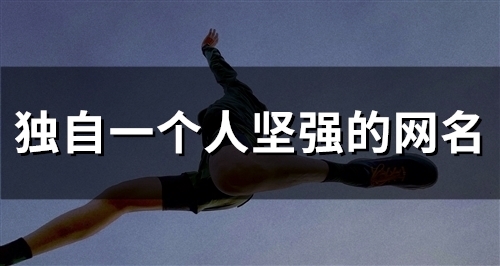 独自一个人坚强的网名(56个)