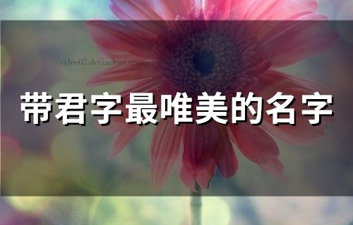 带君字最唯美的名字(49个)