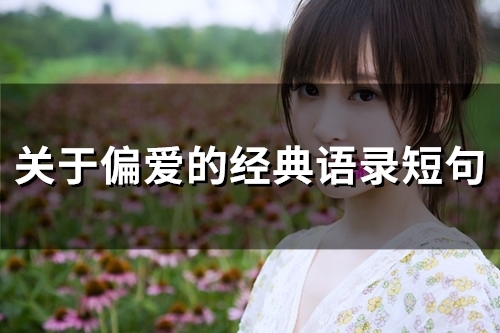 关于偏爱的经典语录短句(56句)