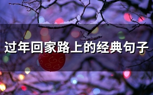 过年回家路上的经典句子(47句) 过年回家路上的经典句子(47句)