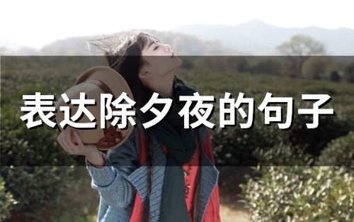 表达除夕夜的句子(60句) 表达除夕夜的句子(60句)