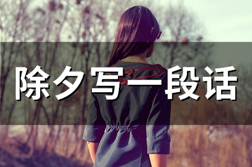 除夕写一段话(精选47句) 除夕写一段话(精选47句)