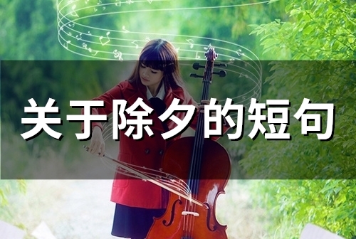 关于除夕的短句(53句)