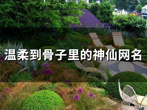 温柔到骨子里的神仙网名(57个)