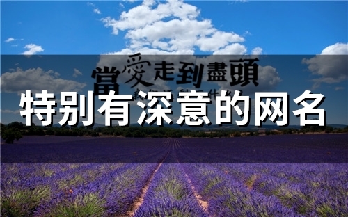 特别有深意的网名(60个)