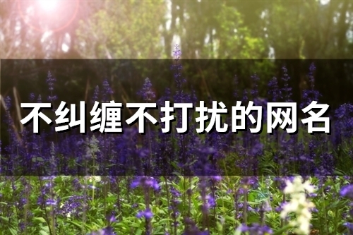 不纠缠不打扰的网名(精选55个)