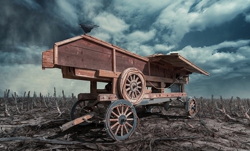 又可爱又萌的五字女生网名(精选59个)