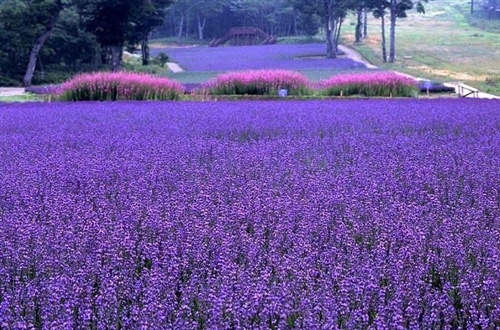 运气比较旺的网名女人(精选57个) 运气比较旺的网名女人(精选57个)