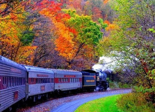 抖音洋气女名三个字可爱(54个)