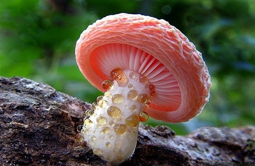 好听顺口的商标名字(精选49个)