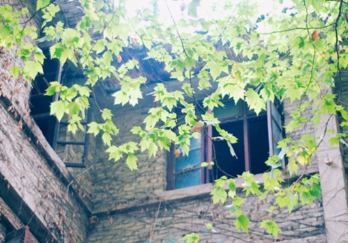 适合心灵驿站的名字(精选45个)