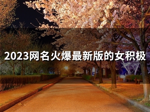 2023网名火爆最新版的女积极(57个)
