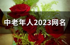 中老年人2023网名(精选48个)