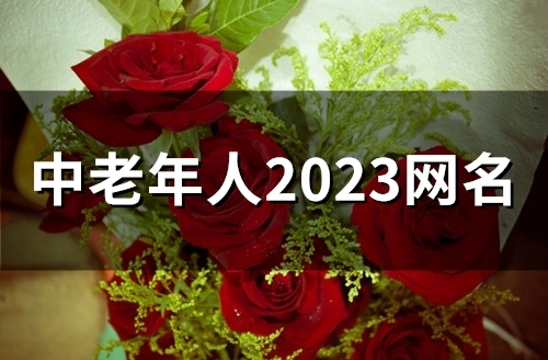 中老年人2023网名(精选48个)