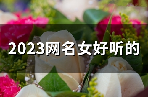 2023网名女好听的(精选52个)