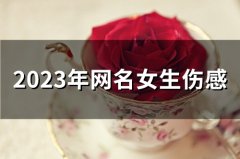 2023年网名女生伤感(58个)