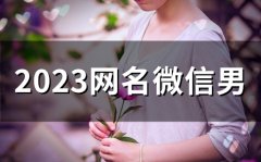2023网名微信男(48个)