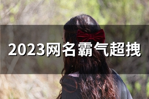 2023网名霸气超拽(50个) 2023网名霸气超拽(50个)