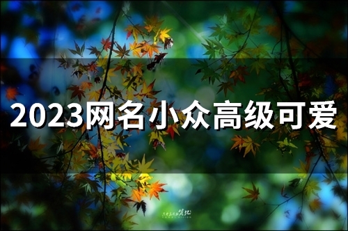 2023网名小众高级可爱(60个)