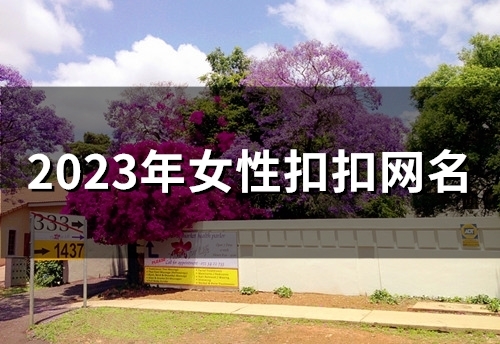 2023年女性扣扣网名(精选244个)